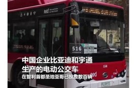 海角社区登录: 如何应对气候变化？