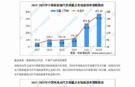 海角官网: 新能源汽车的未来发展走向调查