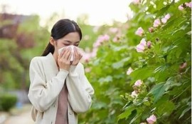 海角社区论坛: 如何应对秋季过敏困难？
