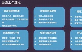 海角社区服务: 高科技助力社区治理新模式
