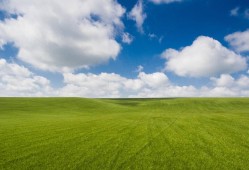 海角社区App：近期热门影视推荐及评价