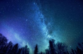 《糖心大乔视频解说全集：精彩瞬间与热门研究》
