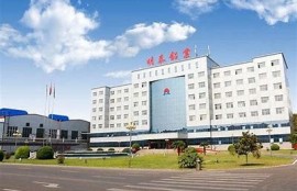 海角APP: 新能源汽车市场火爆调查