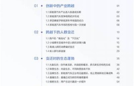 海角社区: 新能源汽车市场热潮，未来发展走向解析
