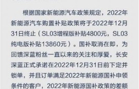 海角社区网站: 新能源车政策解析热议