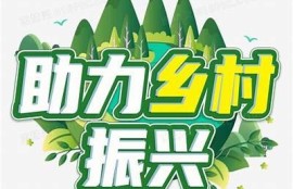保持海角社区服务: 绿色经济助力可持续发展
