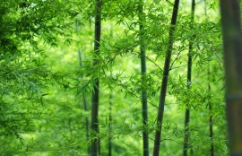 《谍影重重：揭秘近期热播谍战片》