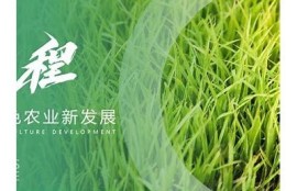 海角社区服务: 绿色生活倡议助力可持续发展