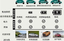 海角社区服务: 新能源车的未来走向调查