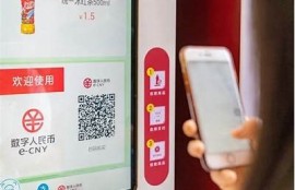 海角社区服务:数字人民币落地使用探索