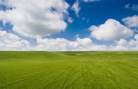 《热议影视：近期大热电影推荐与解析》