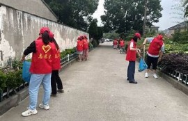 海角社区服务: 关注绿色环保新动态