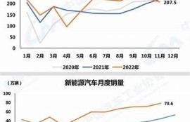 海角APP: 新能源汽车市场爆发的背后