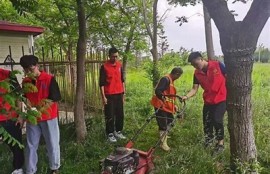 保持海角社区服务:年轻人关注的环境保护行动