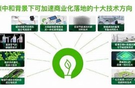 保持海角社区: 碳中和新政策落地，引领绿色未来