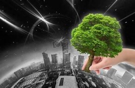 海角社区: 绿色能源的未来展望