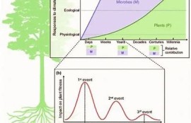 海角社区: 全球气候变化新试验揭示新方向