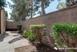 海角社区网站: 最新科技产品发布引发热议