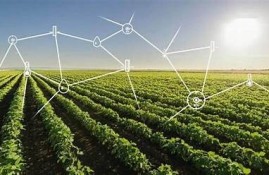 海角官网: AI技术推动未来发展新动向