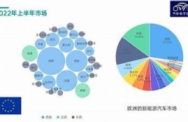 海角社区app: 新能源汽车发展方向解析