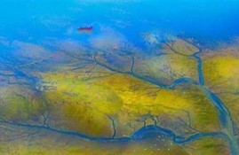 海角社区登录：2023年全球气候峰会召开！
