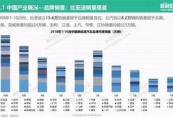 海角社区: 新能源汽车的未来方向解析