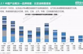 海角社区: 新能源汽车的未来发展走向解析