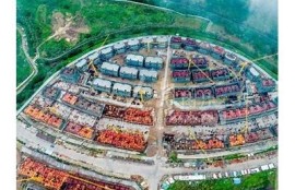 海角社区服务: 城市绿化新举措火热推进