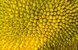 弯弯成人福利APP免费下载与使用指南