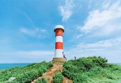 海角社区入口: 新能源汽车市场大热！