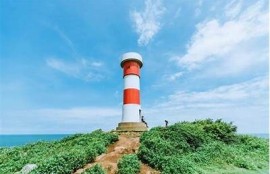 海角社区入口: 新能源汽车市场大热！