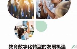 海角社区: 绿色经济新机遇解析