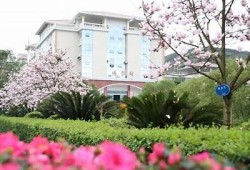 海角社区服务：人工智能助力社区发展新模式