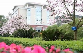 海角社区服务：人工智能助力社区发展新模式