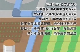 海角社区: 绿地计划助力城市可持续发展