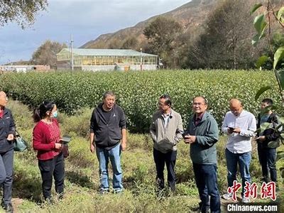 保持海角社区服务: 数字经济助力乡村振兴